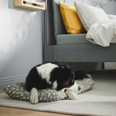 A black and white dog lies comfortably on a patterned cushion, designed for pets.