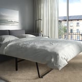 VIMLE Sleeper sofa, Hallarp gray