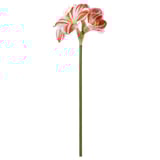 VINTERFINT Artificial flower, indoor/outdoor Amaryllis/red white, 60 cm