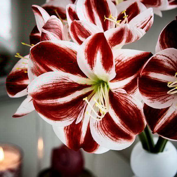 VINTERFINT Artificial flower, indoor/outdoor Amaryllis/red white, 60 cm