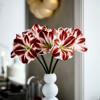 VINTERFINT Artificial flower, indoor/outdoor Amaryllis/red white, 60 cm