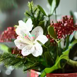 VINTERFINT Artificial potted plant, indoor/outdoor arrangement, 12 cm