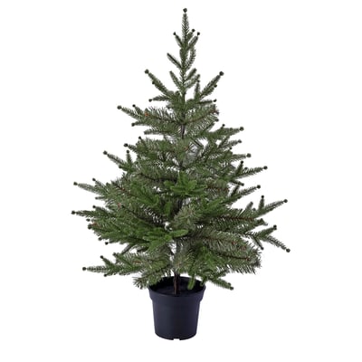 VINTERFINT Artificial potted plant, indoor/outdoor/christmas tree green, 15 cm