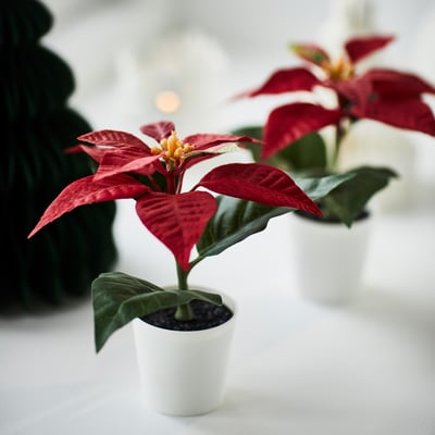 VINTERFINT Artificial potted plant, indoor/outdoor Poinsettia/red, 6 cm