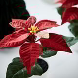 VINTERFINT Artificial potted plant, indoor/outdoor Poinsettia/red, 6 cm