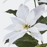 VINTERFINT Artificial potted plant, indoor/outdoor Poinsettia/white, 12 cm
