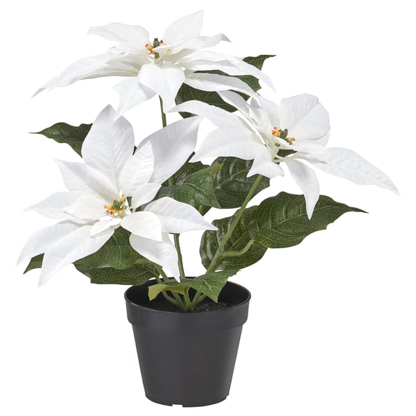 VINTERFINT Artificial potted plant, indoor/outdoor Poinsettia/white, 12 cm