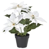 VINTERFINT Artificial potted plant, indoor/outdoor Poinsettia/white, 12 cm