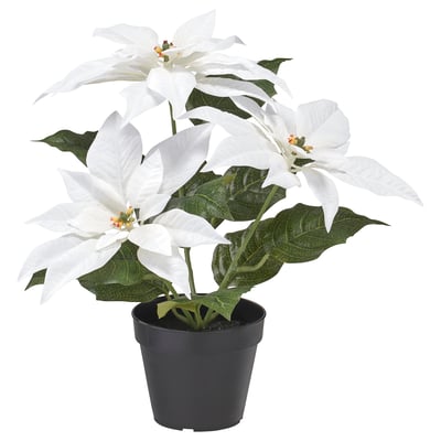 VINTERFINT Artificial potted plant, indoor/outdoor Poinsettia/white, 12 cm