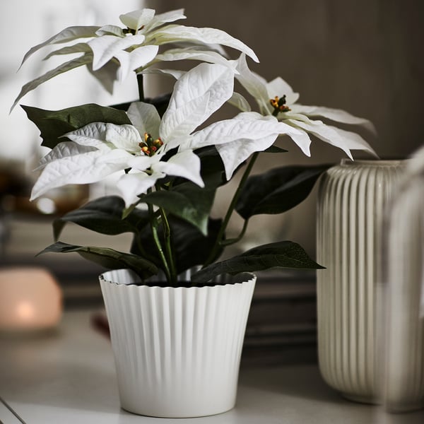 VINTERFINT Artificial potted plant, indoor/outdoor Poinsettia/white, 12 cm