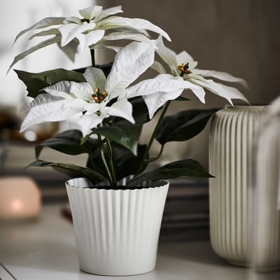 VINTERFINT Plant pot, white, 12 cm