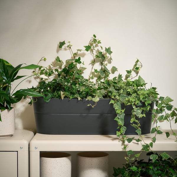 VITLÖK Flower box with holder, indoor/outdoor/anthracite, 56x20 cm