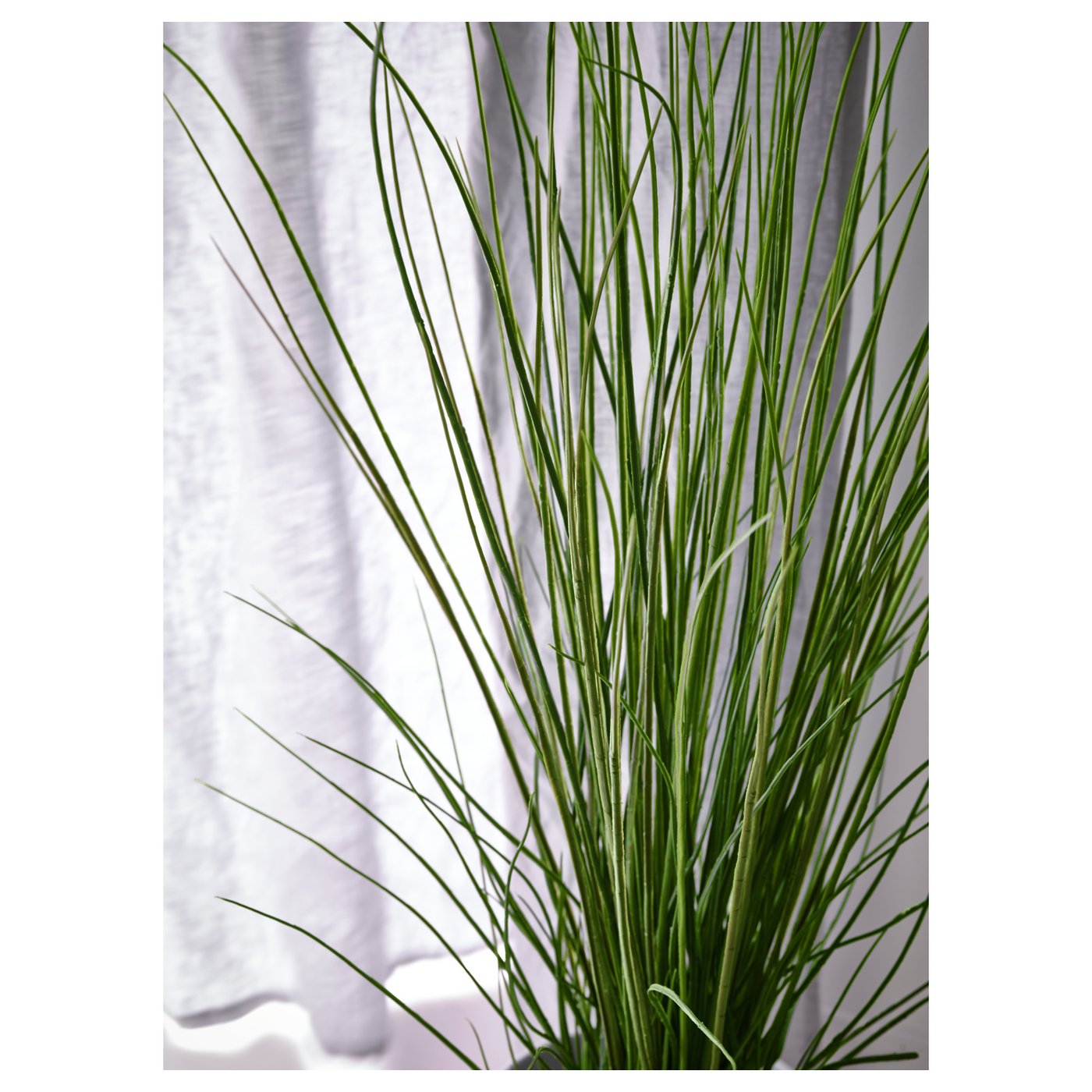 FEJKA フェイカ 人工観葉植物, グラス, 17 cm - IKEA