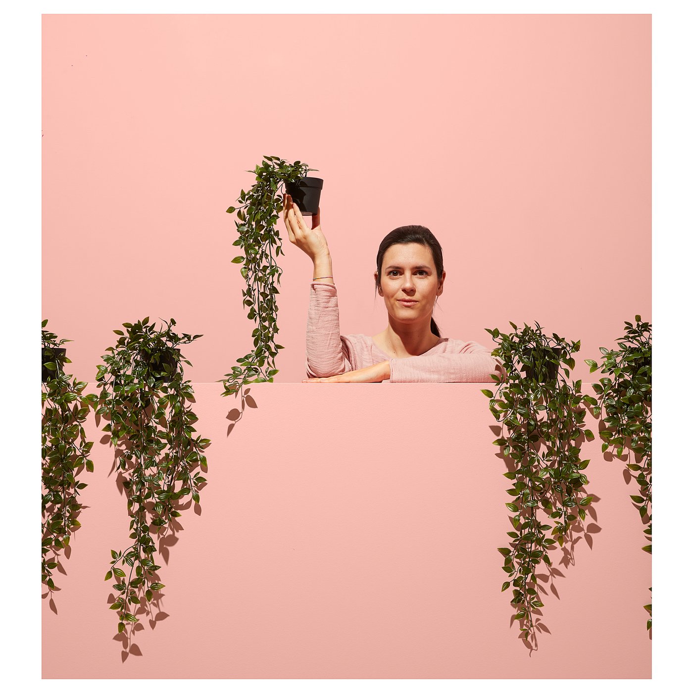 IKEA フェイカ　180cm Amazon｜IKEA/イケア FEJKA/フェイカ：人工観葉植物180 cm