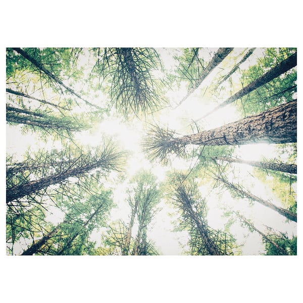 BJÖRKSTA صورة, ابحث عن, 140x100 سم