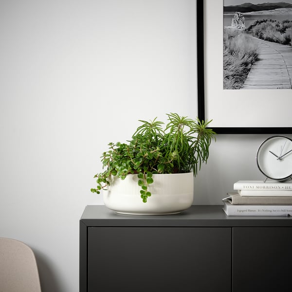Modern office decor: plants, clock, books, picture.