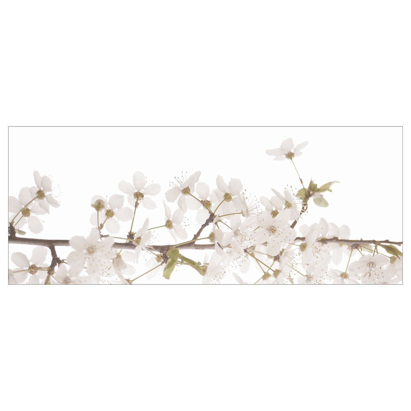 A2202 白い花の絵 【公式通販】