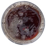 Clear glass filled with dark, bubbly beverage, likely soda. Top view shows effervescence.