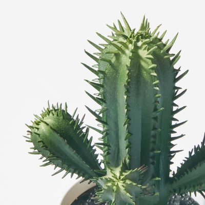 FEJKA フェイカ 人工観葉植物, 室内/屋外用 サボテン, 6 cm - IKEA
