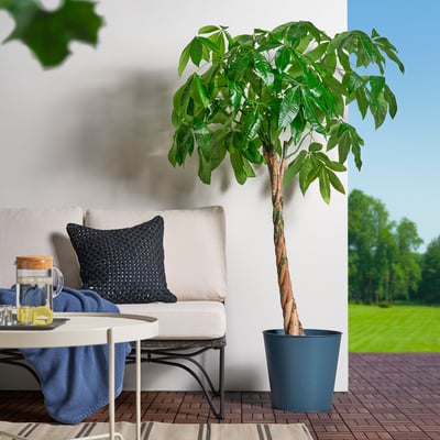 ÅKERBÄR อัวเกแบร์ กระถางต้นไม้, ใน/นอกอาคาร น้ำเงินเข้ม, 32 ซม. - IKEA