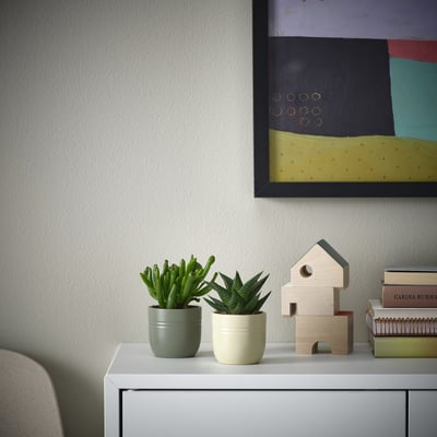 Two small SUCCULENTs in green ceramic pots sit on a white shelf beside a wooden house decoration and books. A colorful painting hangs above.