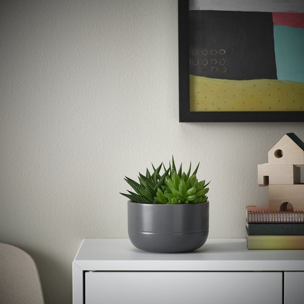 White console table with small gray SUCCULENT and books, next to abstract art.