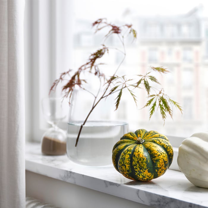 CUCURBITA Декоративний гарбуз, різні, фото 3