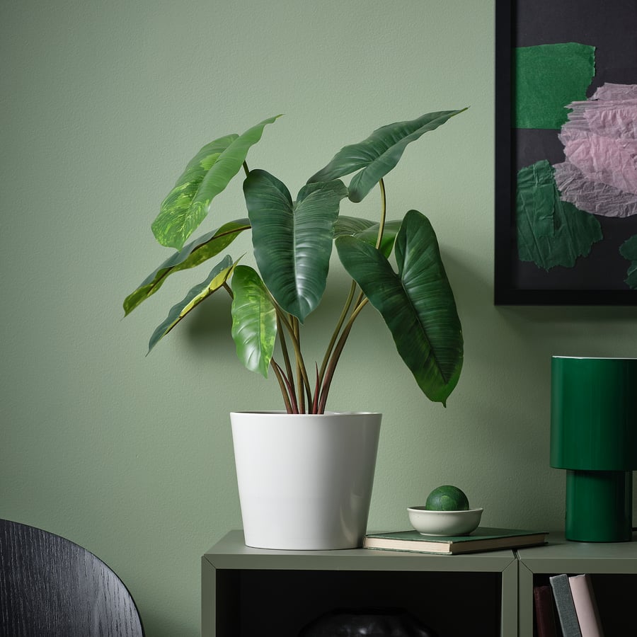 FEJKA kunsttaim potis, tuppa/õue Filodendron/roheline/valge, 15 cm FEJKA kunsttaim potis, tuppa/õue Filodendron/roheline/valge, 15 cm