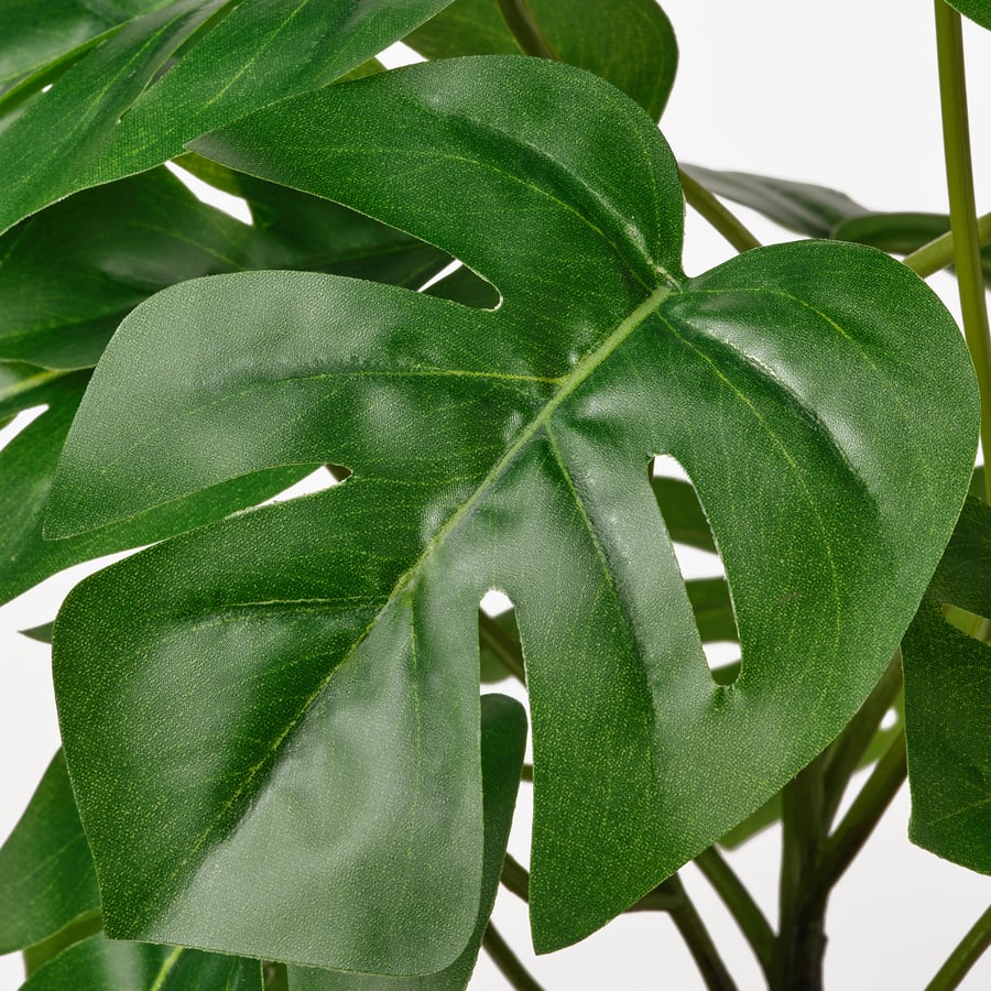 FEJKA kunsttaim potis, tuppa/õue monstera, 12 cm
