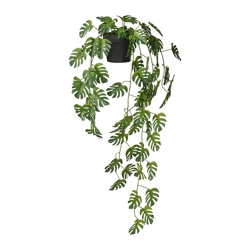 FEJKA - sztuczna roślina doniczkowa, 9 cm, do wewnątrz/na zewnątrz wiszący/Monstera
