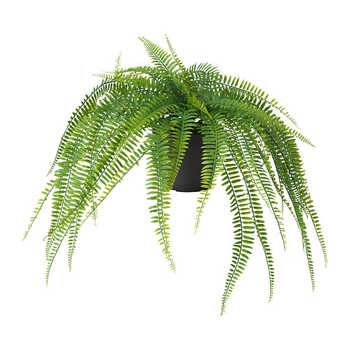 FEJKA - sztuczna roślina doniczkowa, 12 cm, do wewnątrz/na zewnątrz wiszący/paproć