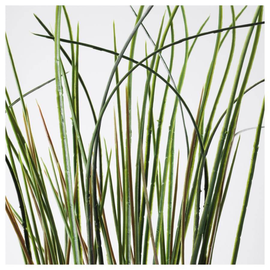 FEJKA kunst potitaim, muru FEJKA kunst potitaim, muru