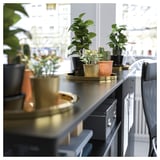 Błyszcząca metalowa taca z różnymi roślinami doniczkowymi, bezpiecznie je trzymająca.