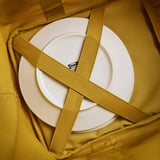 Biały talerz w zielonej siatkowej torbie. Paski krzyżują się, płyta zabezpieczająca. Torba sprawia wrażenie trwałej, dobrze skonstruowanej.