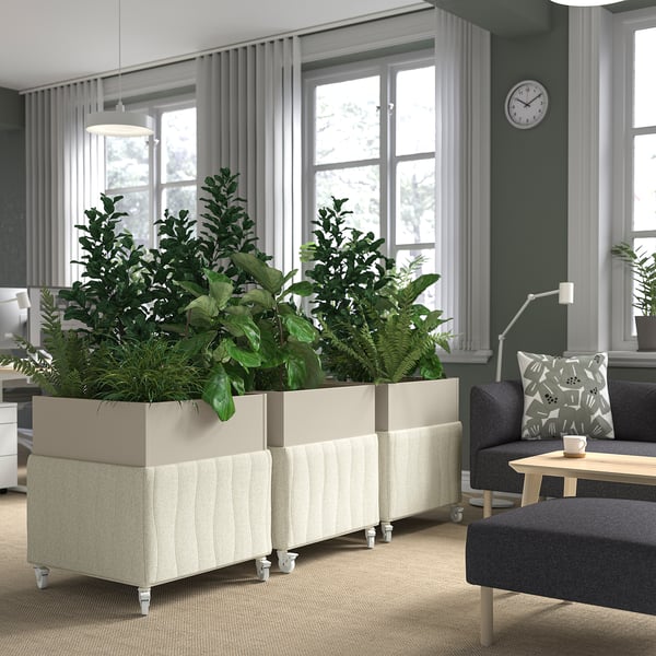 Nowoczesne biuro z dużymi oknami; Akustyczne skrzynki na rośliny MITTZON wypełnione soczyście zielonymi roślinami, szara sofa i drewniany stolik kawowy.