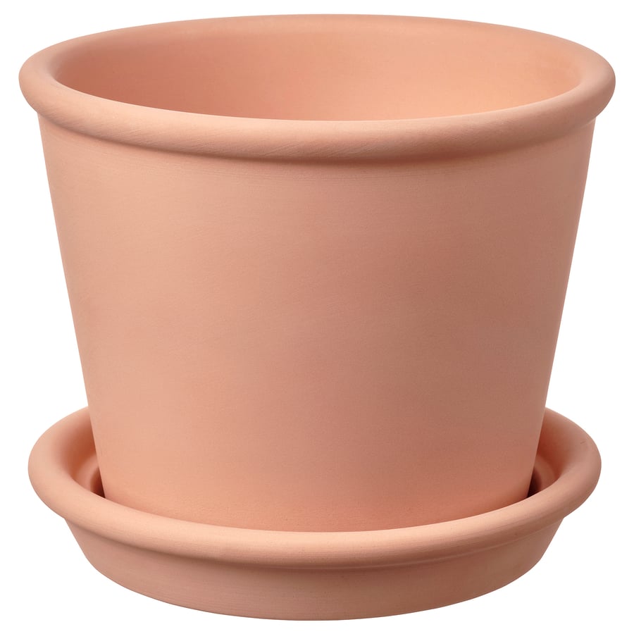 MUSKOTBLOMMA puķpods- iekštelpās / ārpus telpām 12 cm 