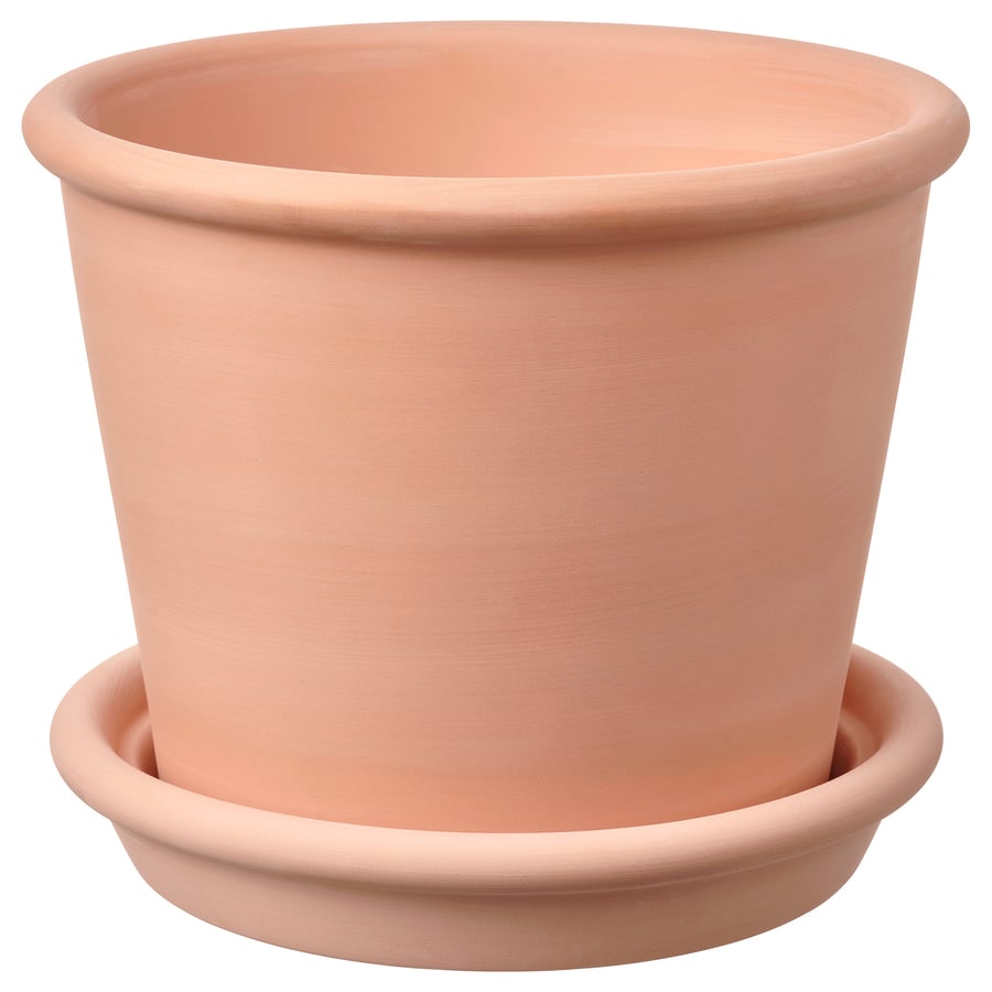 MUSKOTBLOMMA puķpods - iekštelpu / āra terakota 15 cm 