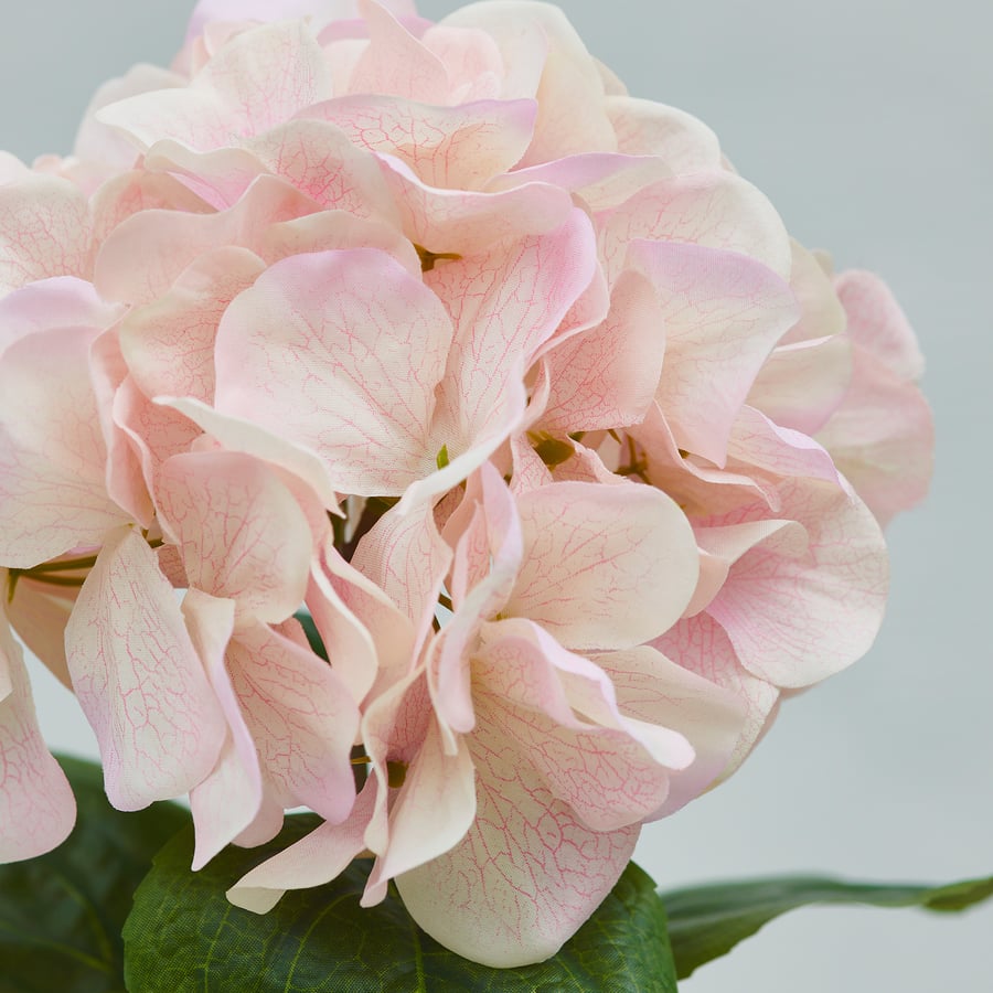 SMYCKA kunstlill, tuppa/õue/hortensia roosa, 55 cm