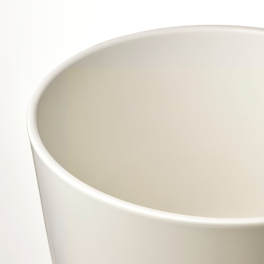 SOJABÖNA, puķupods 24 cm