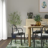 Modern dining room with black chairs, wooden table, green rug, and comfort pad.