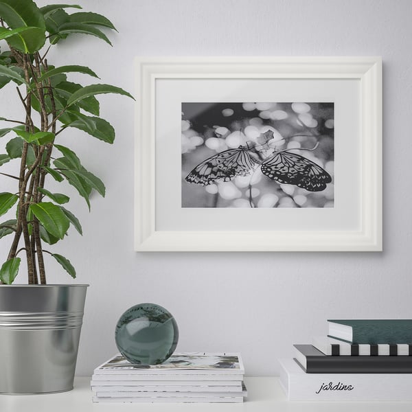 Framed butterfly photo hangs on wall, flanked by potted plant and stacked books with sphere.
