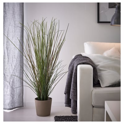 Modern living room with green plant, white couch, gray blanket, black curtain.