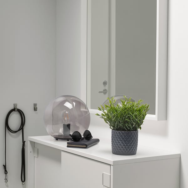 Small blue FEJKA potted plant sits on a white cabinet beside a lamp and a wallet. A leash hangs on the left.