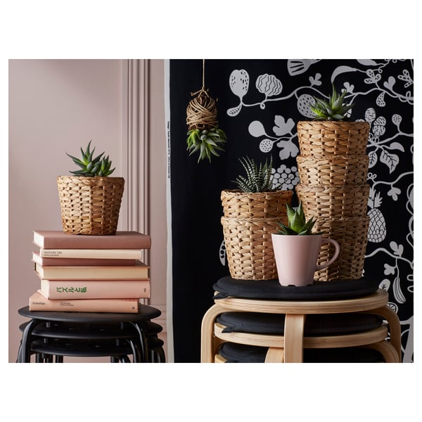 Cozy indoor setting with wicker pots holding green plants on stacked books and stools, against black and white patterned wallpaper.