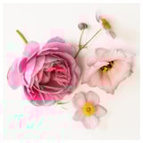 Square floral arrangement featuring dried pink flowers and buds on white paper.