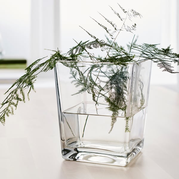 Clear square vase with green fern-like leaves, holding them upright in water. Simple, modern décor.
