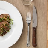 A dinner setting with a plate of steak, accompanied by a serrated steak knife and fork on a placemat.
