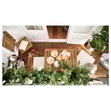 Outdoor wooden patio set with two chairs, a table, plants, and food. Furniture has a natural finish. Bright and inviting space.