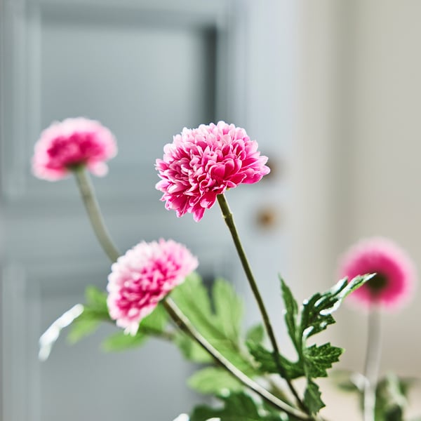 SMYCKA Artificial flower, in/outdoor Chrysanthemums/pink, 75 cm