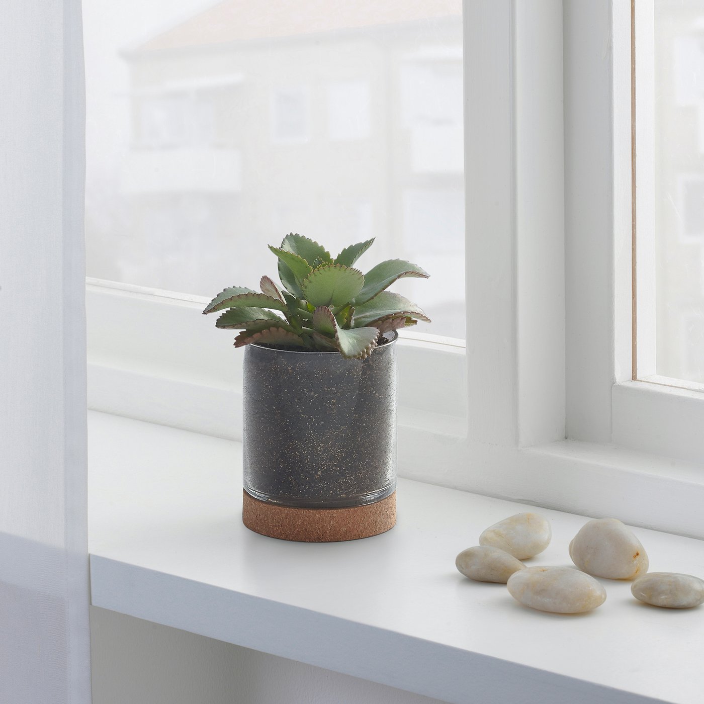Vintervader Plant Pot Glass Cork Ikea